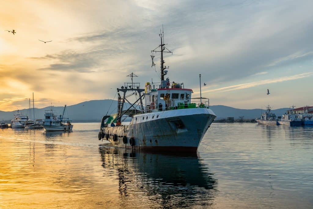 Fishing vessel on its way to catch swordfish.