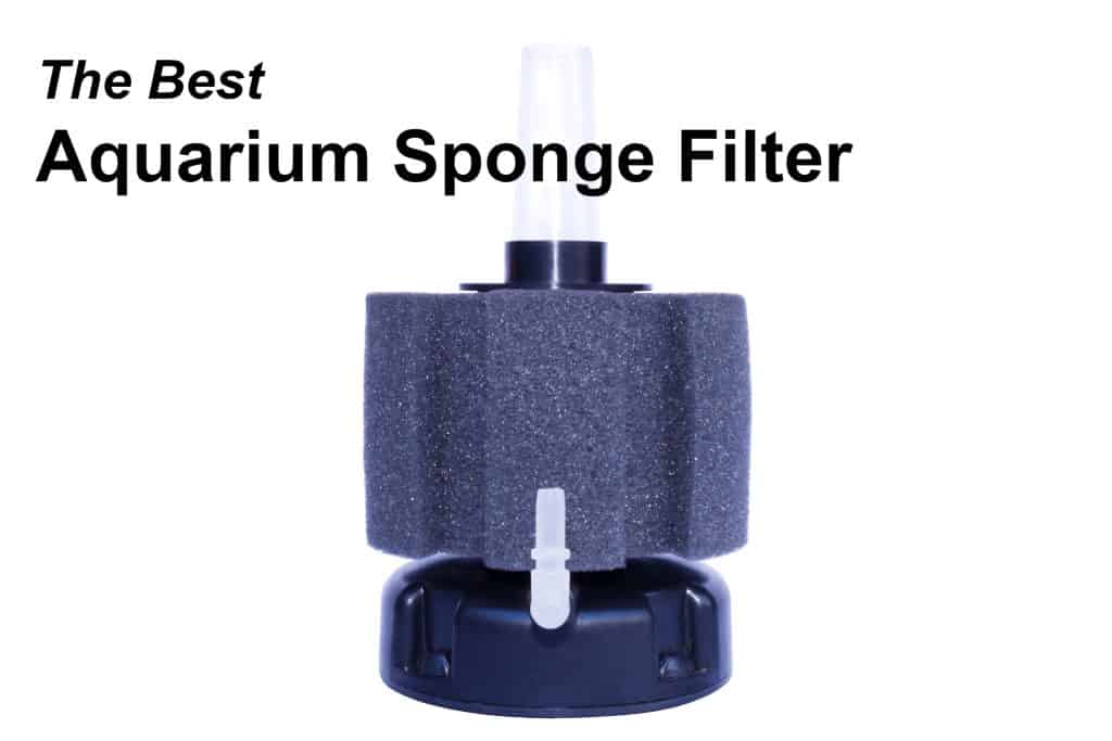 best sponge filter